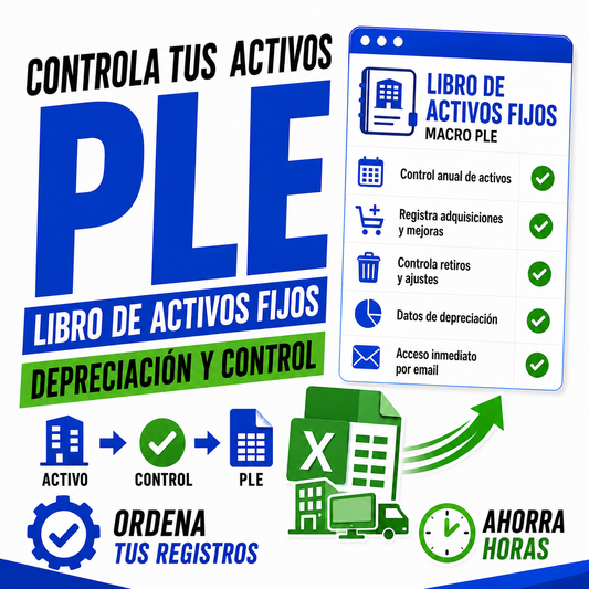 Macro PLE Libro de Activos Fijos
