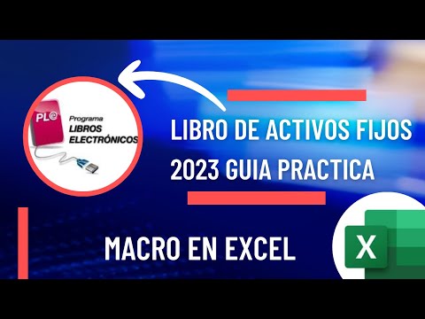 Macro PLE Libro de Activos Fijos