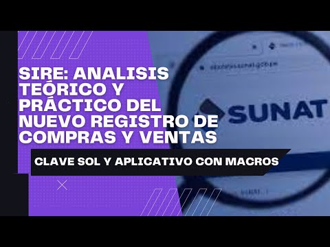 SIRE: Curso Teórico y Práctico con Macros